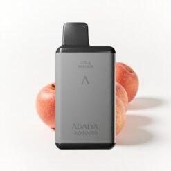 Adalya AD 10000 Puffs Wegwerf-Vape Weltraumgrau Zwei Äpfel USB-C 14 ml