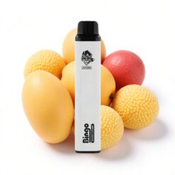 Aivono AIM BINGO 4000 Züge Disposable Vape Mango Litschi 10mL 1000mAh