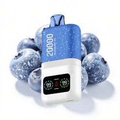 Aivono AIM MAGIC 20000 Puffs 26ml Typ-C Blaubeer-Eis