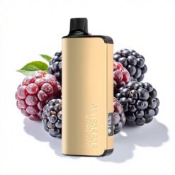 Alibarbar Ingot 9000 Puffs 22ml 2350mAh Brombeere Eis