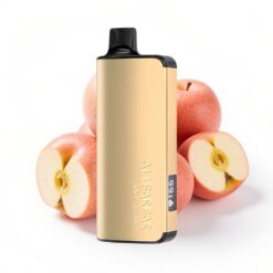 Alibarbar Ingot 9000 Puffs 22ml 2350mAh Doppelapfel