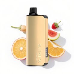 Alibarbar Ingot 9000 Puffs 22ml 2350mAh Kühle Minze