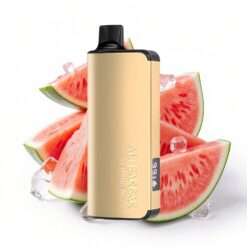 Alibarbar Ingot 9000 Puffs 22ml 2350mAh Wassermelone-Eis