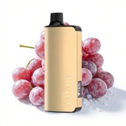 Alibarbar Ingot 9000 Züge 22ml 2350mAh Trauben-Eis