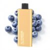 Alibarbar Pandora 7000 Puffs 17ml Blaubeerwind Einweg-Vape