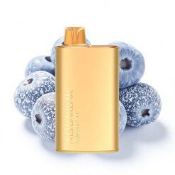 Alibarbar Rich 8000 Puffs 20ml Heidelbeer-Eis Einweg-Vape