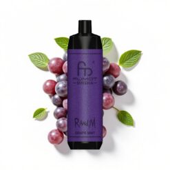 RandM Fumot Shisha 10000 Puffs 18 ml vorgefüllte E-Flüssigkeit 0,5% Nikotin Traube Minze