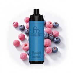 RandM Fumot Shisha 10000 Puffs 18 ml vorgefüllte E-Flüssigkeit 850mAh Typ-C 0,6Ω Blaubeer-Bubblegum