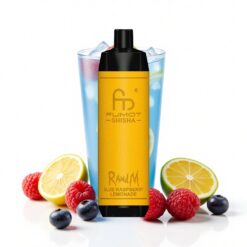 RandM Fumot Shisha 10000 Puffs 18 ml vorgefüllte E-Flüssigkeit Blaue Himbeere Zitrone Typ-C