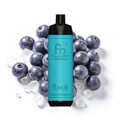 RandM Fumot Shisha 10000 Puffs 18 ml vorgefüllte E-Flüssigkeit Typ-C Schwarzjohannisbeere-Eis