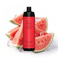 RandM Fumot Shisha 10000 Puffs 18 ml vorgefüllte E-Flüssigkeit Wassermelone Eis Typ-C LED-Anzeige