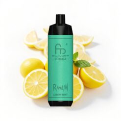 RandM Fumot Shisha 10000 Puffs 18 ml vorgefüllte E-Flüssigkeit Zitrone Minze Typ-C