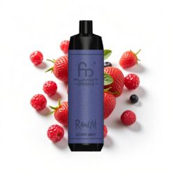 RandM Fumot Shisha 10000 Puffs Beerenminze LED-Anzeige Typ-C 18 ml vorgefüllte E-Flüssigkeit