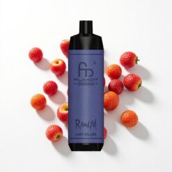 RandM Fumot Shisha 10000 Puffs LED-Anzeige Typ-C 18 ml vorgefüllte E-Flüssigkeit Lady Killer