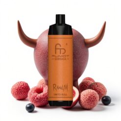 RandM Fumot Shisha 10000 Puffs LED-Anzeige Typ-C 18 ml vorgefüllte E-Flüssigkeit Vimto Stier