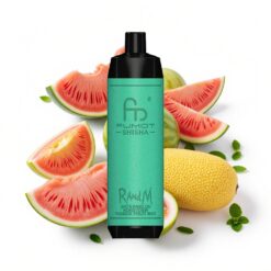 RandM Fumot Shisha 10000 Puffs LED-Anzeige Typ-C 18 ml vorgefüllte E-Flüssigkeit Wassermelone Honigtau Passionsfrucht Minze