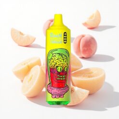 RandM Fumot Tornado 9000 Puffs Einweg-Vape Sommer Pfirsich Eis (850mAh, 18ml Flüssigkeitskapazität, Mesh Coil)